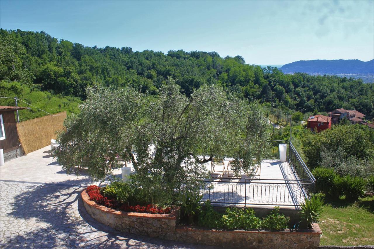 Fattoria Cristina Bilo Rosa Villa Castelnuovo Magra Eksteriør bilde