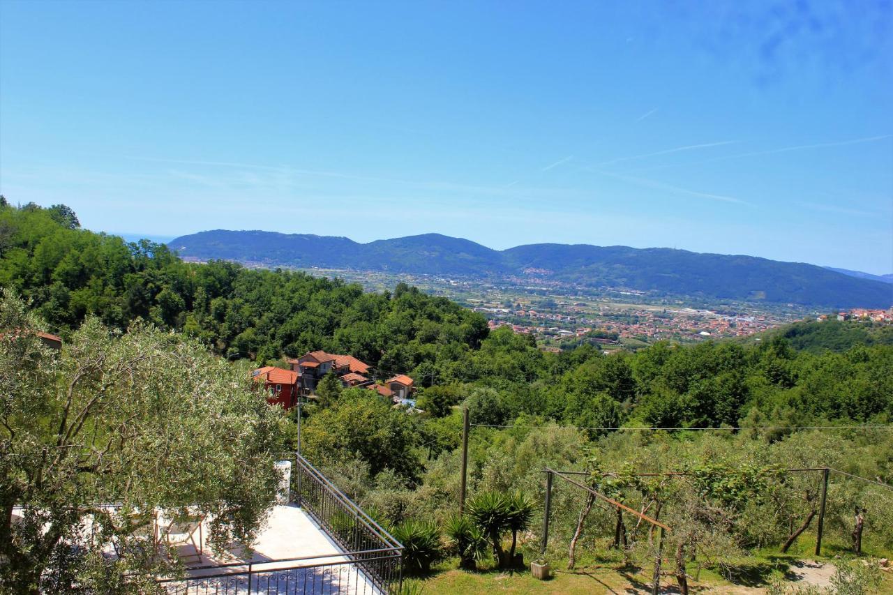 Fattoria Cristina Bilo Rosa Villa Castelnuovo Magra Eksteriør bilde