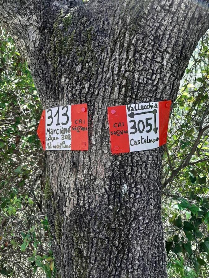 Fattoria Cristina Bilo Rosa Villa Castelnuovo Magra Eksteriør bilde